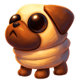 Snowball Pug