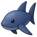 Shark
