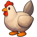 Chicken