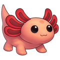 Axolotl