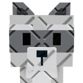 Big Raccoon