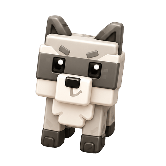 Raccoon